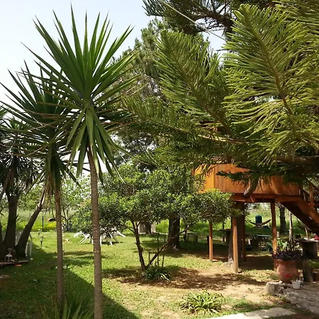 Hotel apartamentowy Gongis