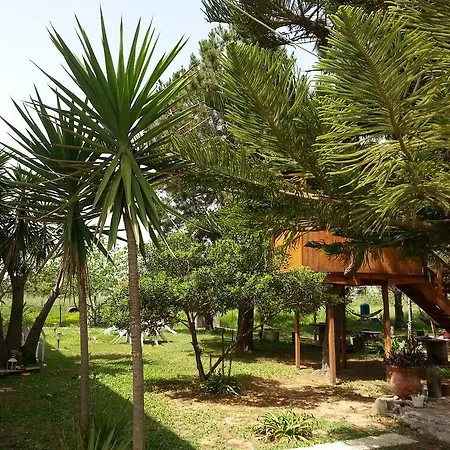 Hotel apartamentowy Gongis Agios Georgios (Corfu)