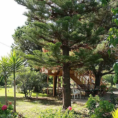 Apart-hotel Gongis Agios Georgios (Corfu)