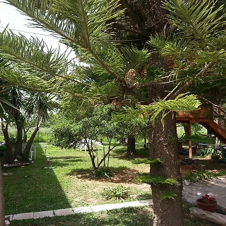 Gongis Agios Georgios (Corfu)