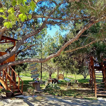 Gongis Lejlighedshotel 3*